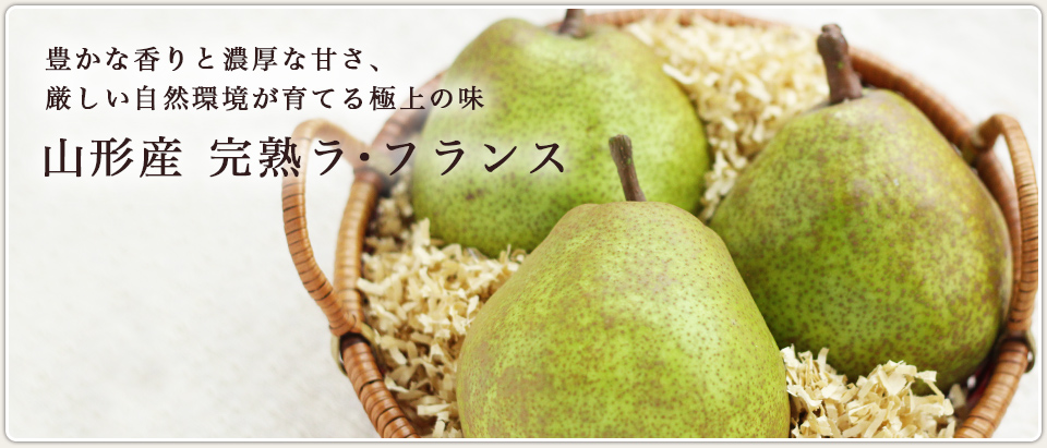 ˭ʹǻʴŤĶƤ˾̣ϥ顦ե