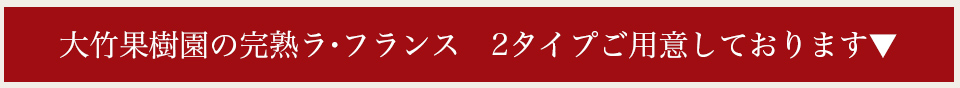 ݲ̼δϥ顦ե󥹡2פѰդƤޤ